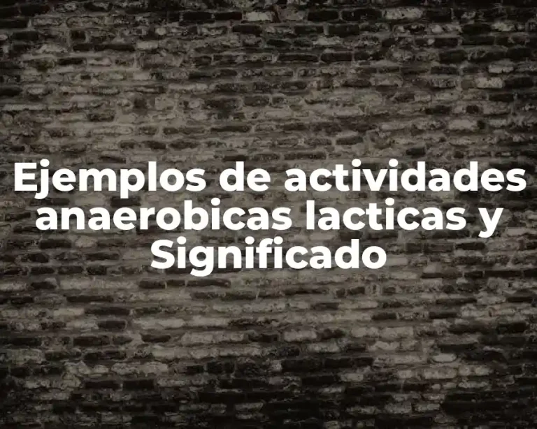 Ejemplos de actividades anaerobicas lacticas y Significado