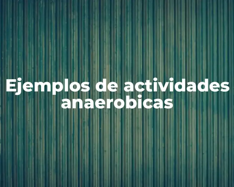 Ejemplos de actividades anaerobicas