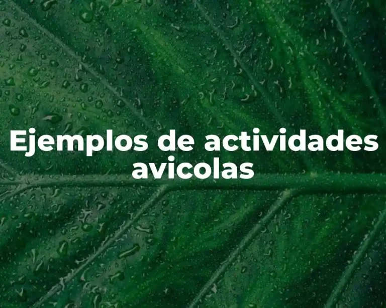 Ejemplos de actividades avicolas