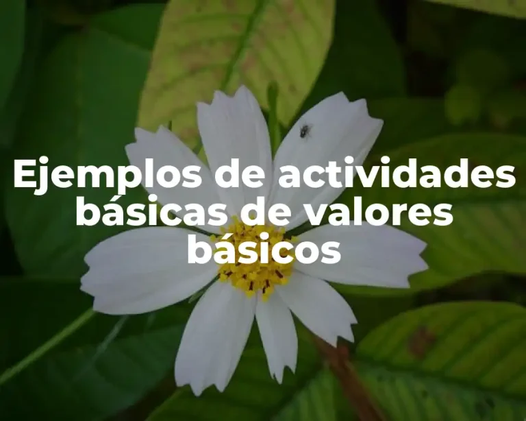 Ejemplos de actividades básicas de valores básicos