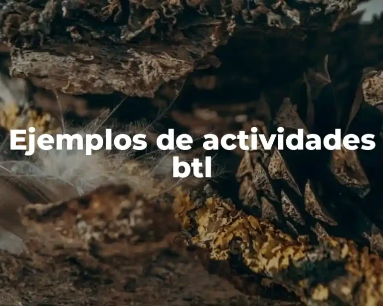 Ejemplos de actividades btl