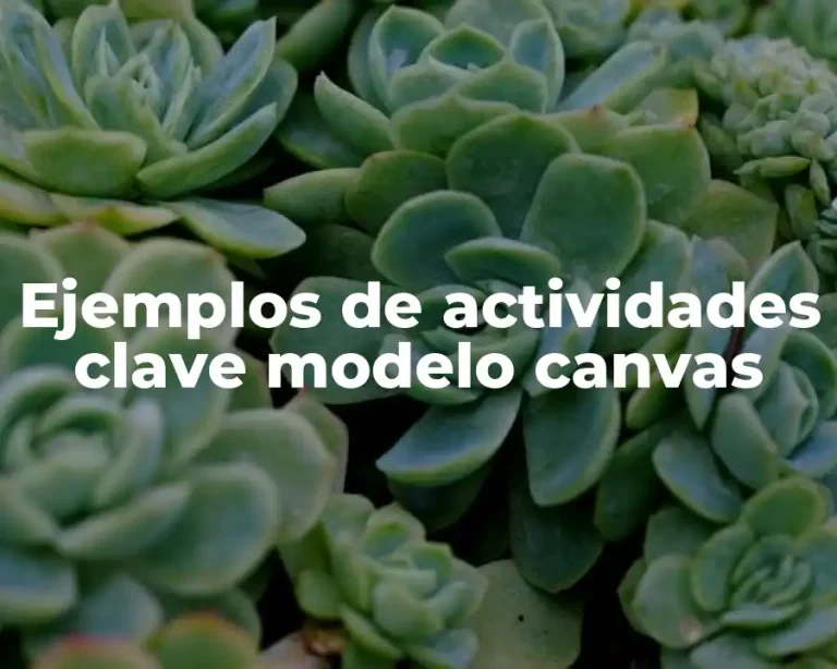 Ejemplos de actividades clave modelo canvas
