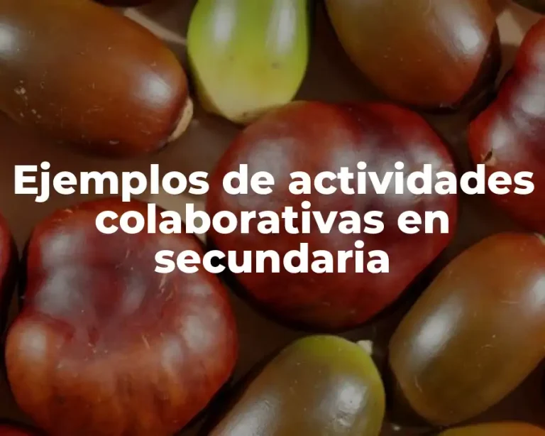 Ejemplos de actividades colaborativas en secundaria