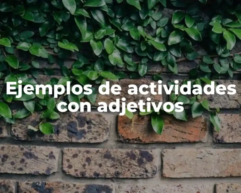 Ejemplos de actividades con adjetivos