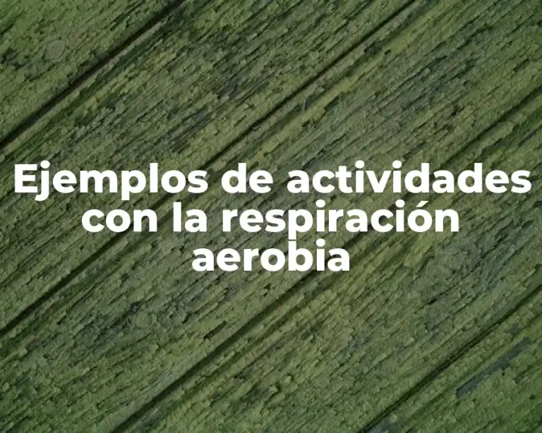 Ejemplos de actividades con la respiración aerobia