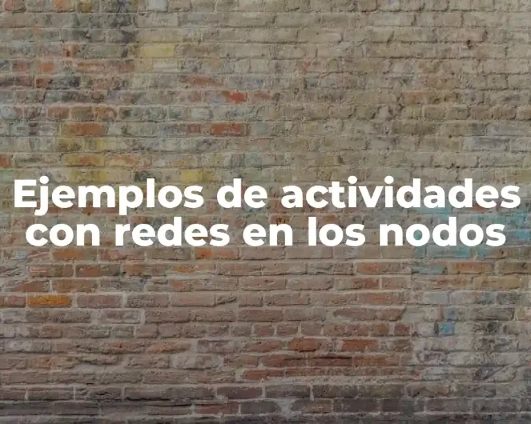 Ejemplos de actividades con redes en los nodos