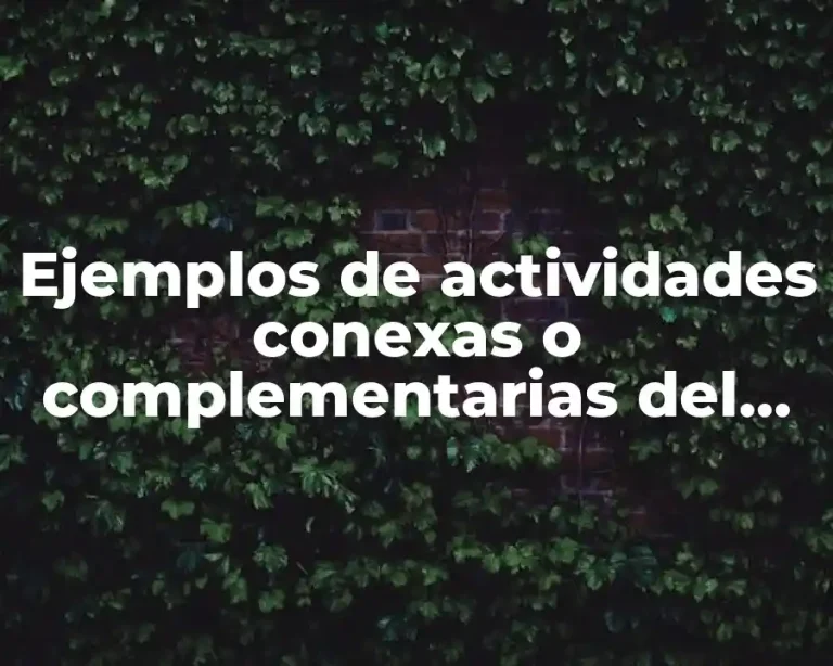 Ejemplos de actividades conexas o complementarias del trabajador