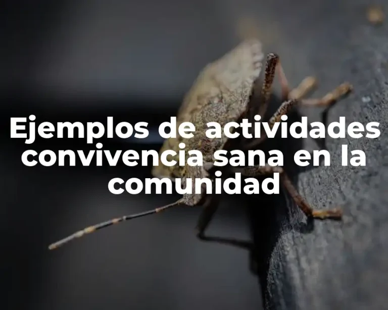 Ejemplos de actividades convivencia sana en la comunidad