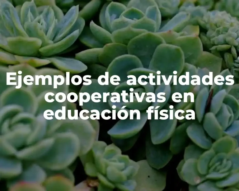 Ejemplos de actividades cooperativas en educación física
