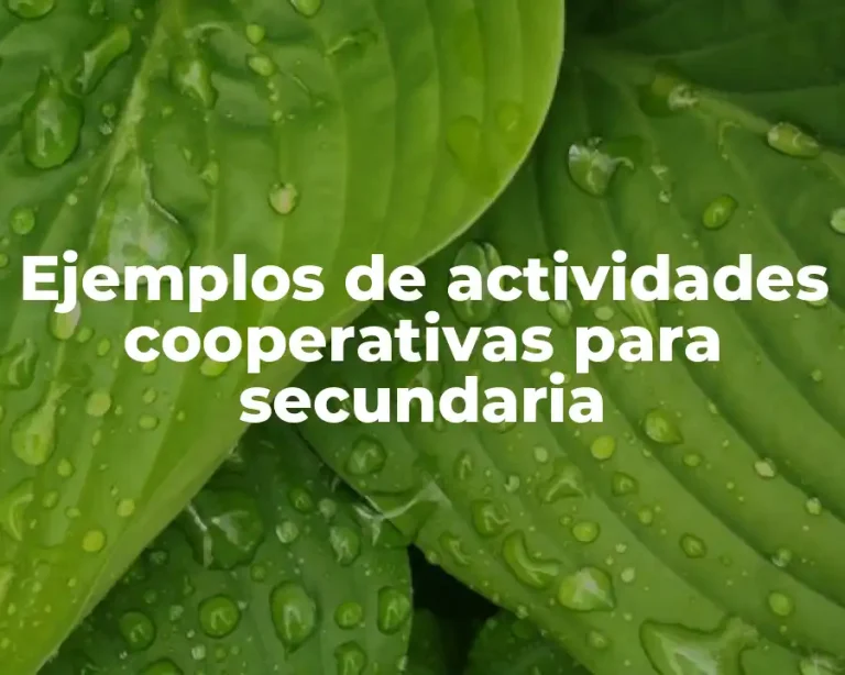 Ejemplos de actividades cooperativas para secundaria