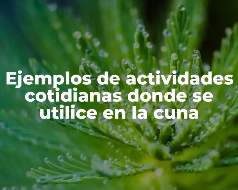 Ejemplos de actividades cotidianas donde se utilice en la cuna