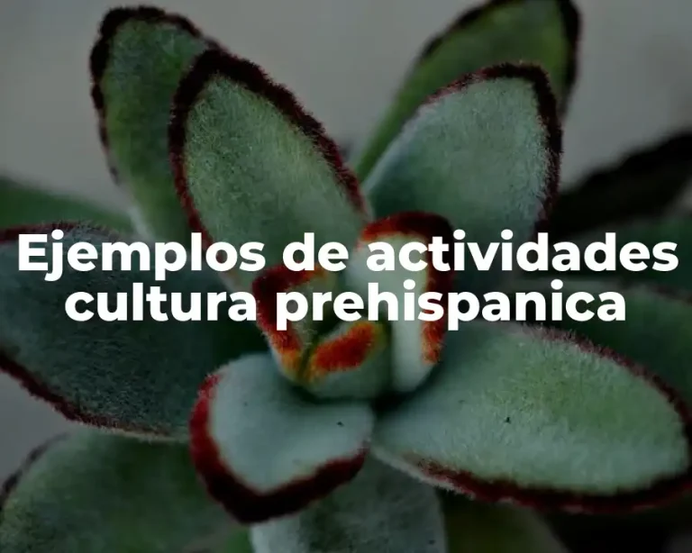 Ejemplos de actividades cultura prehispanica