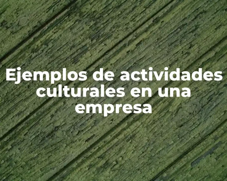 Ejemplos de actividades culturales en una empresa