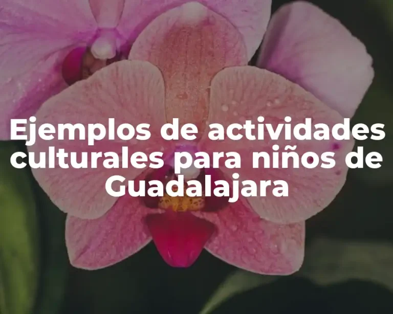 Ejemplos de actividades culturales para niños de Guadalajara