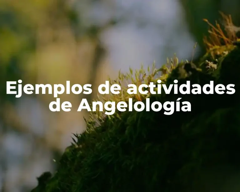 Ejemplos de actividades de Angelología