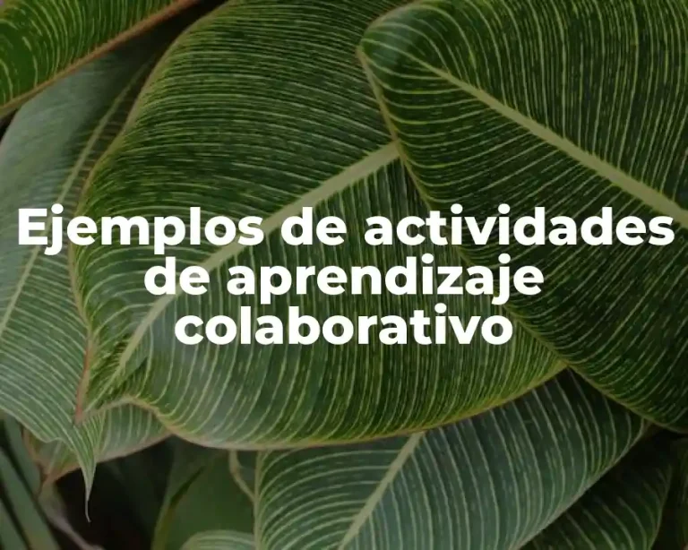 Ejemplos de actividades de aprendizaje colaborativo