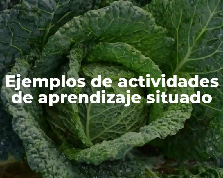Ejemplos de actividades de aprendizaje situado