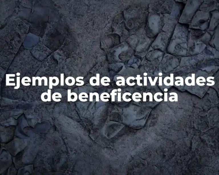Ejemplos de actividades de beneficencia