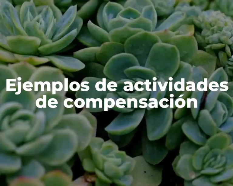Ejemplos de actividades de compensación