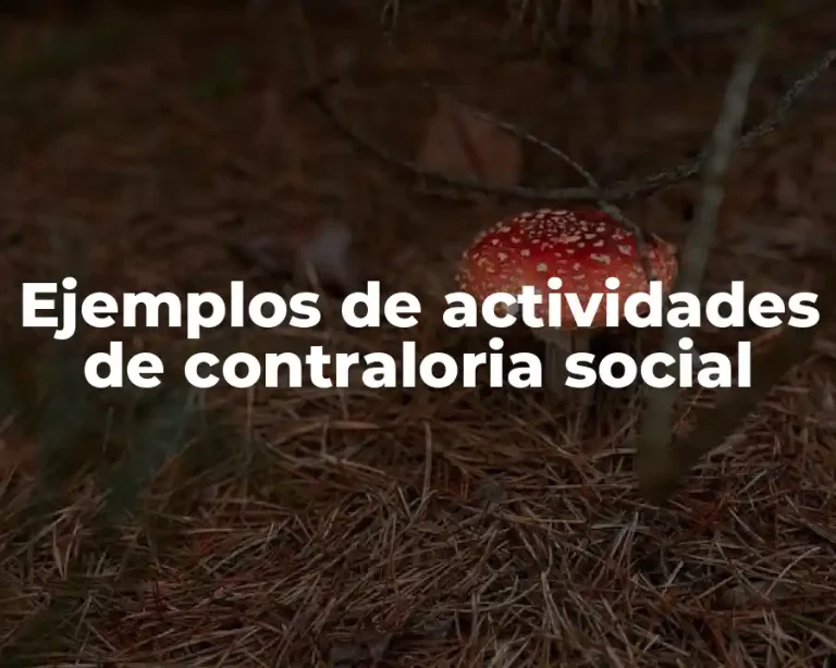 Ejemplos de actividades de contraloria social