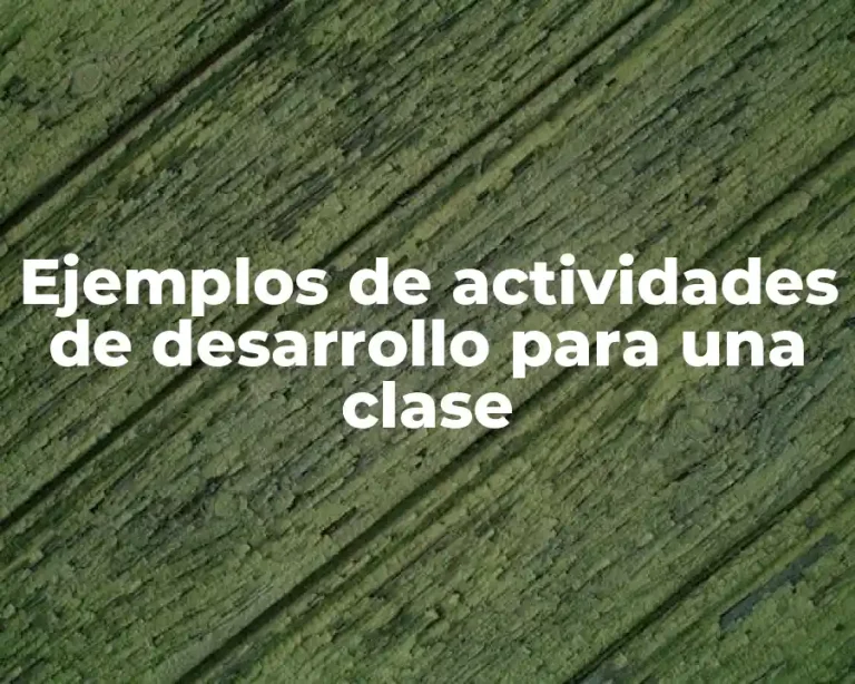 Ejemplos de actividades de desarrollo para una clase