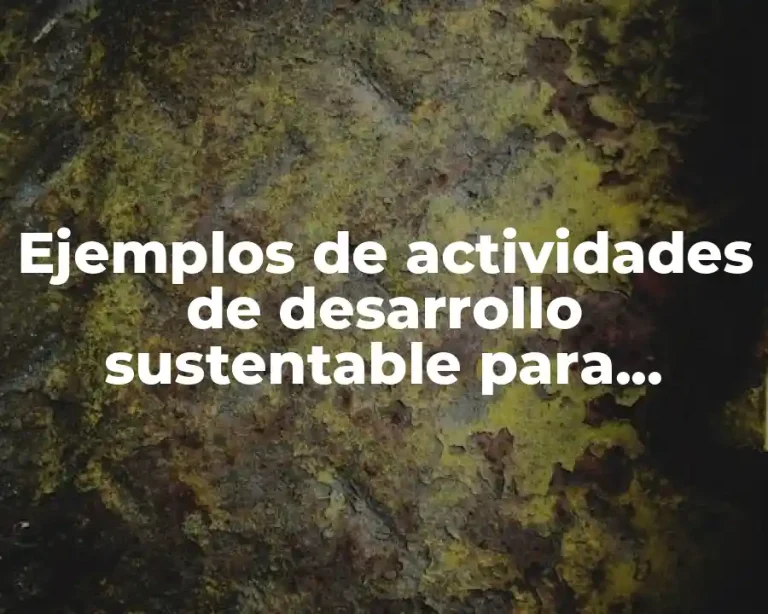 Ejemplos de actividades de desarrollo sustentable para jóvenes de