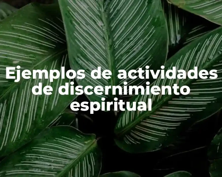 Ejemplos de actividades de discernimiento espiritual