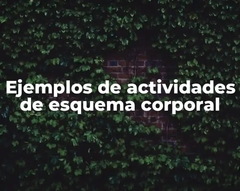 Ejemplos de actividades de esquema corporal