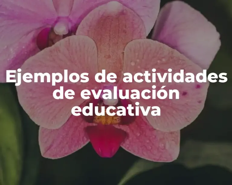 Ejemplos de actividades de evaluación educativa