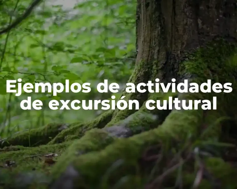 Ejemplos de actividades de excursión cultural