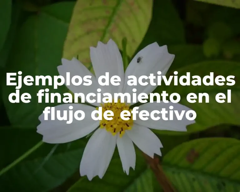Ejemplos de actividades de financiamiento en el flujo de efectivo