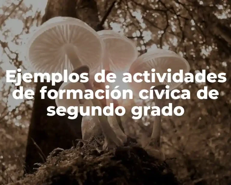 Ejemplos de actividades de formación cívica de segundo grado