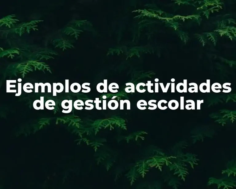 Ejemplos de actividades de gestión escolar