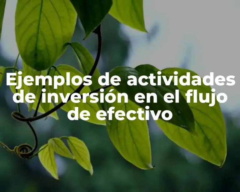 Ejemplos de actividades de inversión en el flujo de efectivo