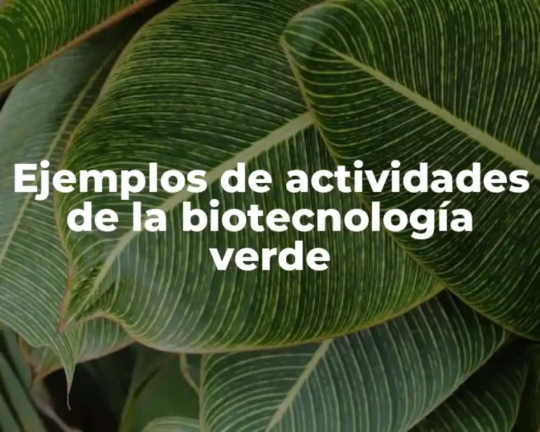 Ejemplos de actividades de la biotecnología verde