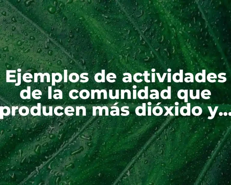 Ejemplos de actividades de la comunidad que producen más dióxido y Significado