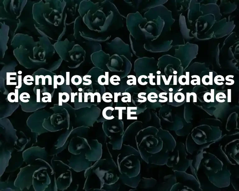 Ejemplos de actividades de la primera sesión del CTE