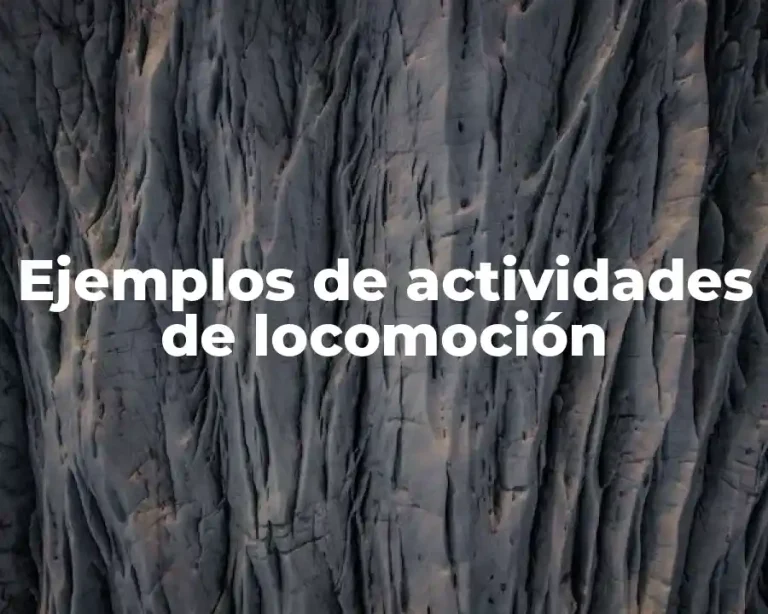 Ejemplos de actividades de locomoción