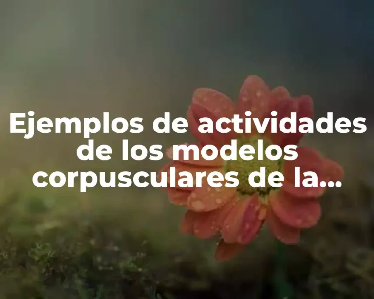 Ejemplos de actividades de los modelos corpusculares de la materia y Significado