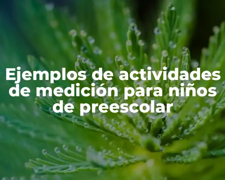 Ejemplos de actividades de medición para niños de preescolar