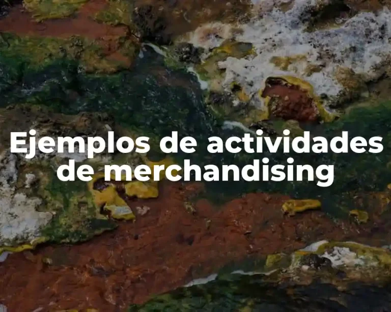 Ejemplos de actividades de merchandising