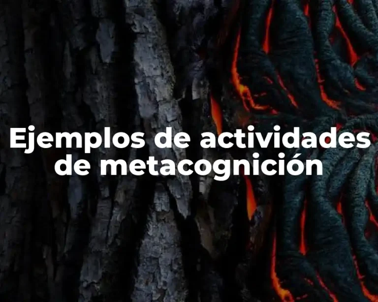 Ejemplos de actividades de metacognición