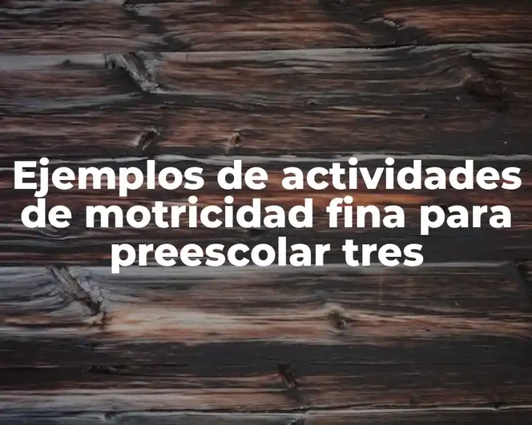 Ejemplos de actividades de motricidad fina para preescolar tres