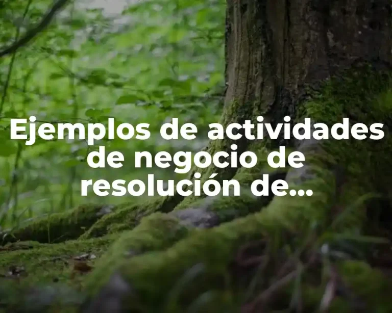 Ejemplos de actividades de negocio de resolución de problemas y Significado