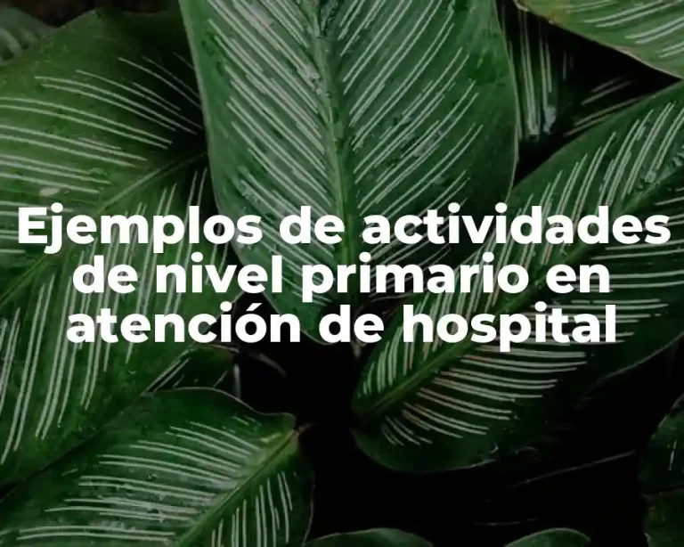 Ejemplos de actividades de nivel primario en atención de hospital
