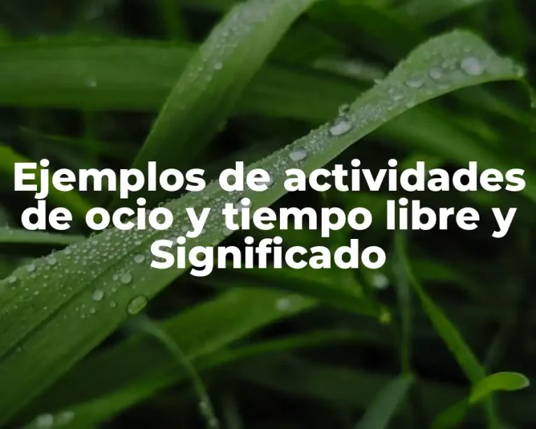 Ejemplos de actividades de ocio y tiempo libre y Significado