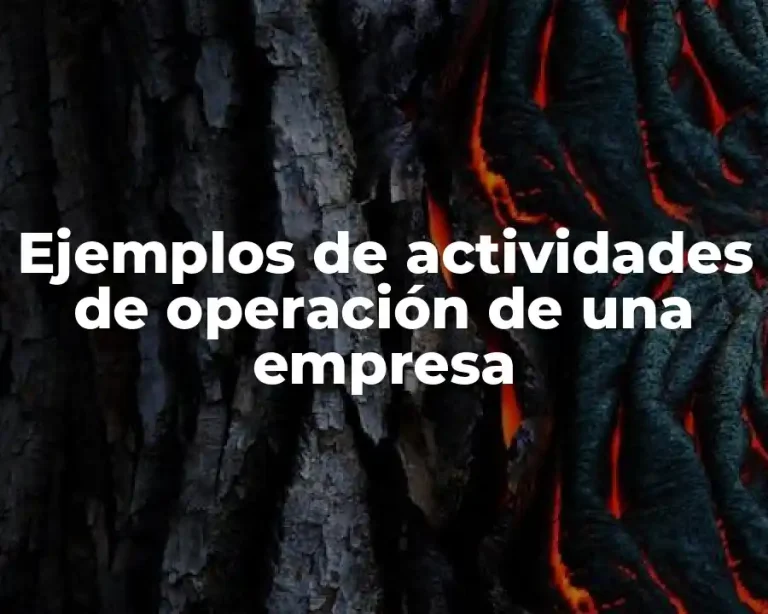 Ejemplos de actividades de operación de una empresa