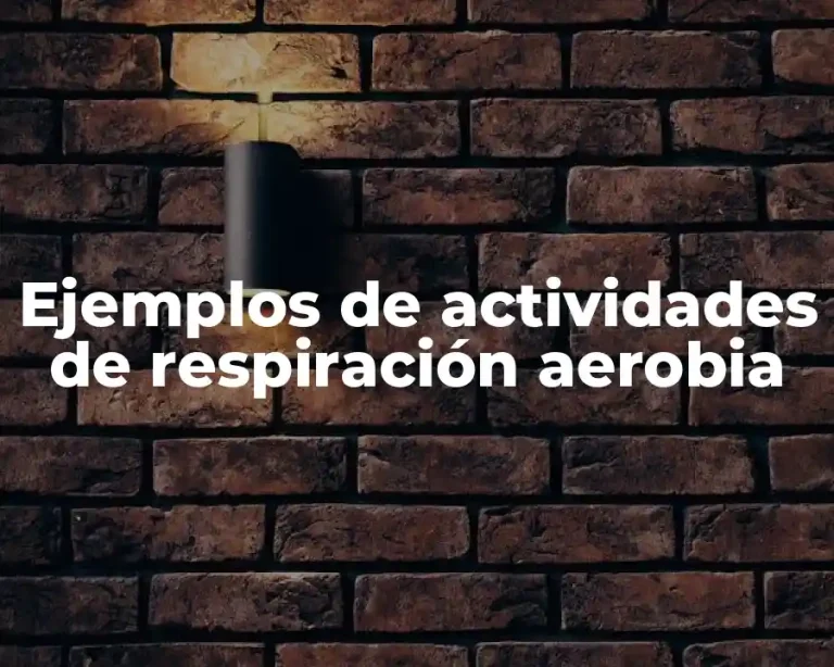 Ejemplos de actividades de respiración aerobia
