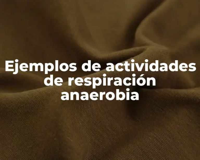 Ejemplos de actividades de respiración anaerobia
