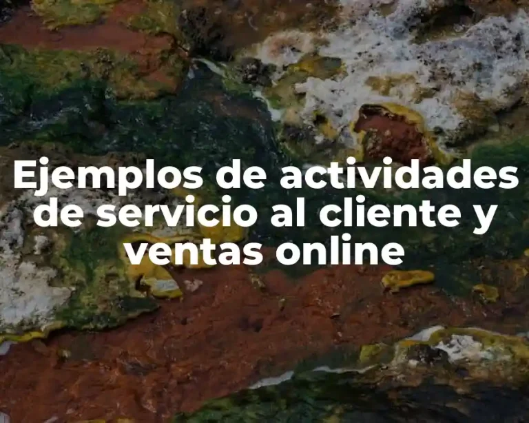 Ejemplos de actividades de servicio al cliente y ventas online
